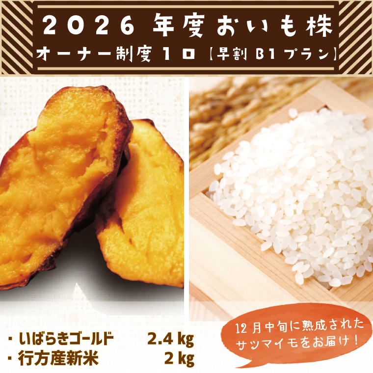 【早割B1プラン】2026年度おいも株オーナー制度 1口｜さつまいも 芋 サツマイモ お芋 おいも株 株 オーナー いばらきゴールド 米 お米 らぽっぽファーム 体験 農園 茨城県 行方市(CQ-6-1)