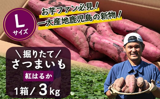 
            【先行予約・2025年9月中旬より順次発送】鹿児島県産 掘りたて 紅はるか 3kg (1箱 )Lサイズ| さつまいも サツマイモ 焼き芋 べにはるか おやつ 煮物 芋ごはん 味噌汁 鹿児島県 南大隅町 株式会社フォレスト 掘り立て（AX72215）
          
