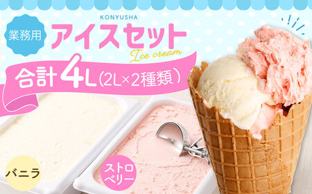 2Lアイス セット (バニラ・ストロベリー) 合計4L アイス 自家製 業務用 大容量 【2025年6月下旬順次発送開始】