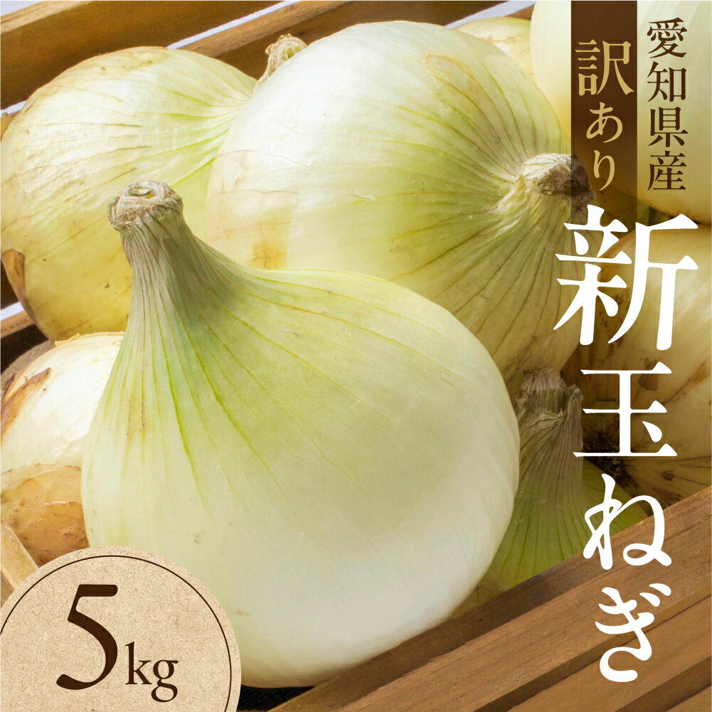 【ふるさと納税】新玉ねぎ 大玉 訳あり 5kg（小傷・変形）10キロ 新玉 玉ねぎ タマネギ 玉葱 野菜 旬 旬の野菜 甘い サラダ 健康 農家 やさい わけあり ワケアリ 規格外 自宅 家庭 お取り寄せ 人気 鮮度 新鮮 生 糖度 愛知県 豊橋市