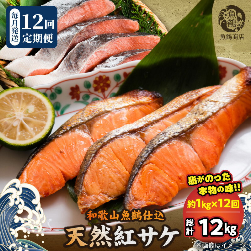 【ふるさと納税】【限定】 定期便 全12回 天然 紅鮭 切身 約 1kg × 12回 計 12kg 甘口 身 やわらかい とろける 食感 コク 和歌山 梅酒 北海道南産 真こんぶ だし 漬け しっとり まろやか 風味 ホイル焼き お弁当 おかず 魚 魚介 お取り寄せ 和歌山県 湯浅町 送料無料