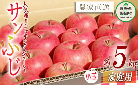 りんご サンふじ 家庭用 ( 小玉 ) 5kg 松橋りんご園 沖縄県配送不可 2025年1月上旬頃から3月上旬頃まで順次発送予定 令和6年度収穫分 信州 長野県 飯綱町 [0629]