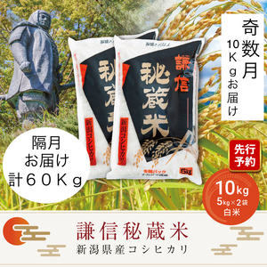 【先行予約｜10月上旬より順次出荷】定期便奇数月発送（10kg×6回分）10kg 米 新潟県産 コシヒカリ  精白米 謙信秘蔵米  お米  こめ コメ