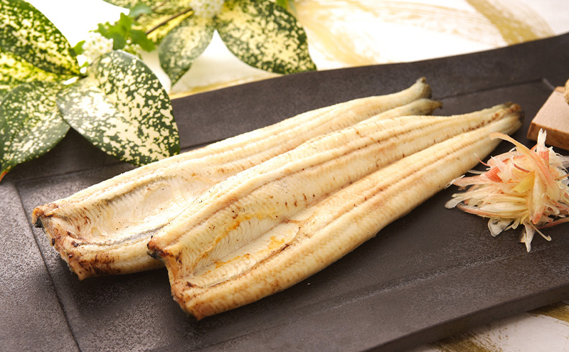 浜名湖マルマ うなぎ白焼(約130g x 15尾) 浜名湖産うなぎ 長白焼 国産 ギフト 贈答 土用の丑の日 白焼 鰻 うなぎ 真空 個包装 冷凍 浜名湖 グルメ 高級 静岡 浜松市 【配送不可：離島
