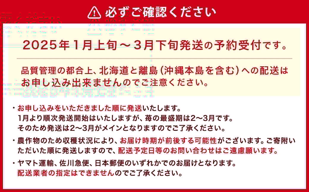【アフター対応】あまおう 約280g×2パック【2025年1月上旬～3月下旬発送予定】 苺 イチゴ いちご 果物 フルーツ 福岡県 遠賀町