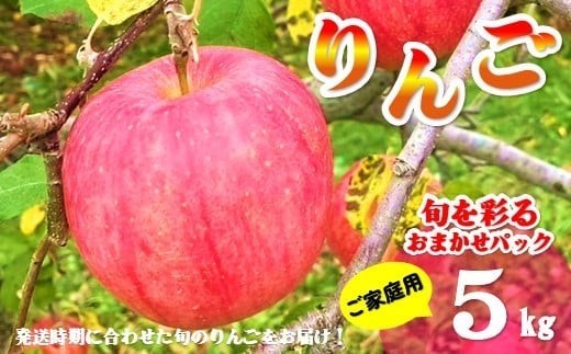 【北上市産 りんご 】 ＼ 予約受付 26年9月発送開始予定 ／ 旬を彩るおまかせパック 【 家庭用 】 5キロ (約13～20玉)  林檎 リンゴ 5kg 国産 東北 岩手 産地直送 送料無料 訳あり フルーツ 果物 岩手県 北上市 C0522 金鈴園 ふるさと納税 限定 季節限定 秋 冬
