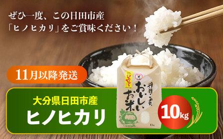 【先行予約・25年11月以降発送】令和7年産大分県産ヒノヒカリ 10kg 白米 白米 白米 白米 白米 白米 日田市 / JAおおいた日田グリーンセンター[ARDX005]