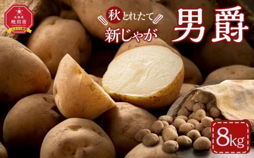 【先行予約】秋とれたて 新じゃが 男爵いも 8kg(2025年10月発送開始予定)北海道産じゃがいも ジャガイモ 【 じゃがいも いも イモ 芋 野菜 産地直送 旬 お取り寄せ 旭川市 北海道 】_03814