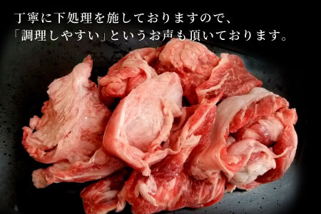 最速発送 数量限定 飛騨牛 すじ肉 400g A5 A4 国産 牛 冷凍 和牛 牛肉 スジ すじ 牛すじ 牛すじ肉 煮込み用