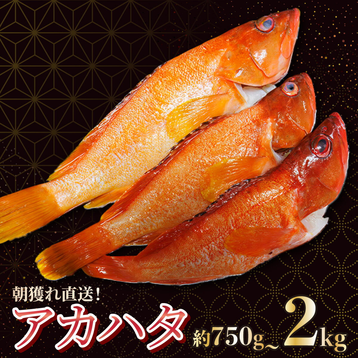 【ふるさと納税】＜先行予約受付中！＞宮崎県串間産アカハタ(計約750g〜約2kg・2~8匹) 魚 魚介 国産 宮崎 海鮮 アカハタ 刺身 お刺身 蒸し焼き 煮物 特産品 ふるさと おすすめ 贈り物 プレゼント ギフト グルメ 贈答 宮崎県産 宮崎 宮崎県 串間市 送料無料