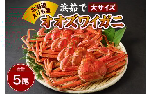 浜茹でオオズワイガニ5尾【えりも産】【er004-006-d】