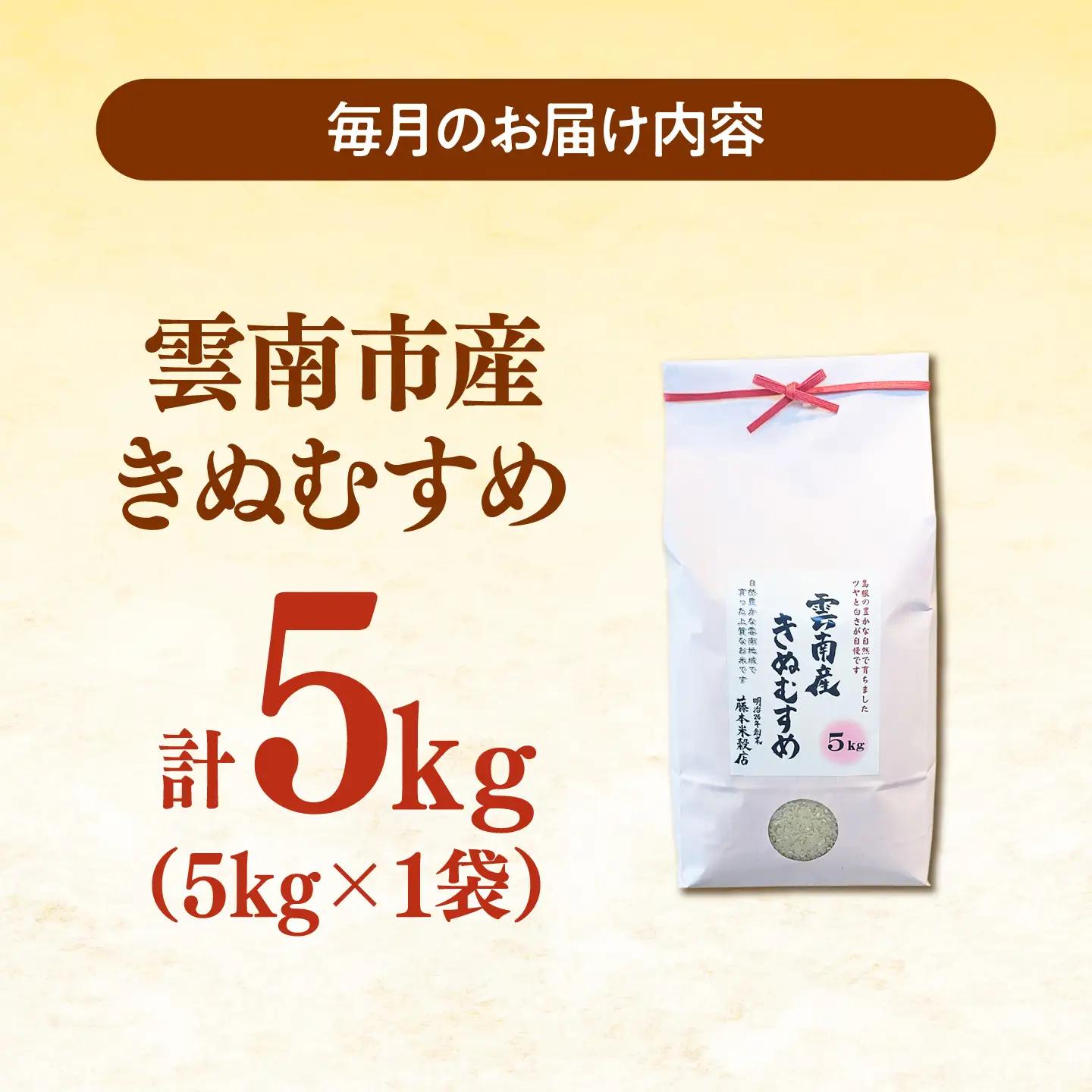 【令和8年産】【全3回定期便】雲南市産きぬむすめ 5kg [AIDB102-r8]新米