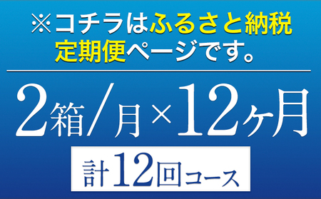 12ヶ月定期便 “九州熊本産”オールフリー２ケース（350ml×48本）阿蘇の天然水100％仕込 お酒 ノンアルコール 熊本県御船町《お申込み月の翌月から出荷開始》定期便 定期 計12回 