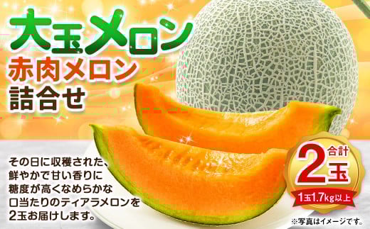 大玉 赤肉 メロン 2玉 詰め合わせ （1玉 1.7kg以上）果物 フルーツ めろん 赤肉メロン 北海道 浦臼町 【2025年7月上旬～2025年8月上旬迄発送予定】