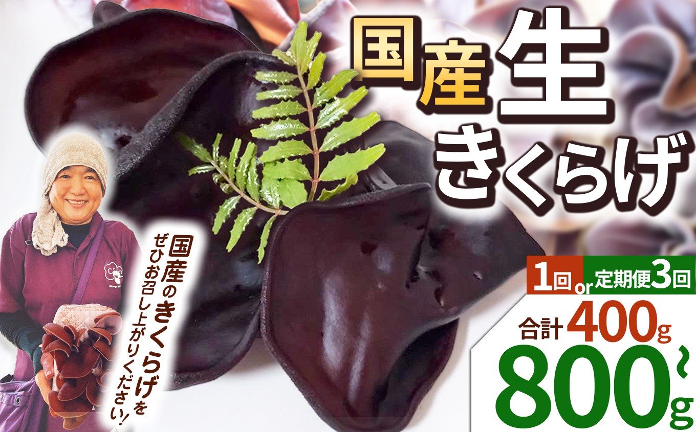 
            【期間限定】生きくらげ 400g~800g ともちゃん農園 定期便あり| きくらげ 生きくらげ 食物繊維 鉄分 カルシウム ビタミンD カリウム アミノ酸 低カロリー ダイエット中でも安心 高血圧予防 ふるさと 納税 栃木県 那珂川町 送料無料
          