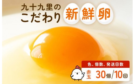 【定期便10回】九十九里ファームこだわりたまご贈答用 30個 ～あおい海・みどりの里～《赤玉》 たまご 卵 玉子 タマゴ 赤玉 卵かけご飯 新鮮 旨み 甘み 贈答用 贈答 ギフト 贈り物 千葉県 匝瑳市