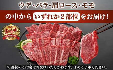宮崎牛ミックスカルビ焼肉500g≪みやこんじょ快速便≫_14-8902-R_(都城市) 宮崎県産 宮崎牛 ミックスカルビ 焼肉 バーベキュー 赤身 サシ 旨み 風味 食感 ウデ バラ 肩ロース モモ