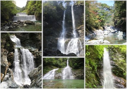 宝来荘ひとり旅  宝来荘１泊２食付き(１名様) お部屋タイプ：本館和室