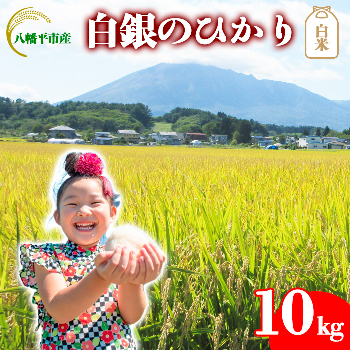 【令和7年産】 新米 10月中旬発送開始予定 白銀のひかり （岩手141号）  精米 10kg ／ かきのうえ こめ 米 コメ お米 おこめ 白米 白飯