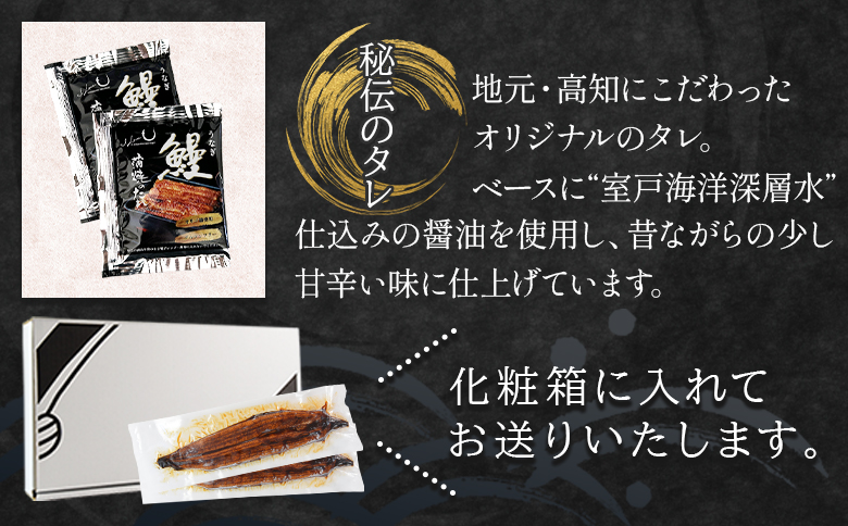【６回定期便】高知県産養殖うなぎ蒲焼き 100～120g 3尾 うなぎ 魚介 国産 海鮮 魚 かばやき 鰻 ウナギ 惣菜 おかず お手軽 加工品 加工食品 冷凍 Wfb-0043