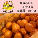 【ふるさと納税】温州みかん 家庭用 箱込み10kg ( 3Lサイズ以上 ) 大きいミカンが好きな人におすすめ