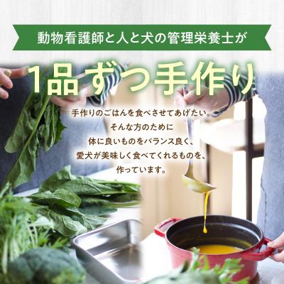 ふるさと納税 大分市 ドッグフード 無添加 水分補給4点セット【犬の手作りごはん】_R15013 |  | 02
