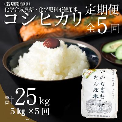 ふるさと納税 小松島市 【令和7年産新米】新米 定期便 5回 米 コシヒカリ 計25kg 5kg × 5回 白米 お米