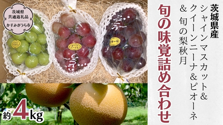 《 種なし 》 シャインマスカット ・ クイーンニーナ ・ ピオーネ ・ 秋月 約 4kg (茨城県共通返礼品 かすみがうら市) ぶどう マスカット 梨 [DH013sa]