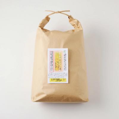 ふるさと納税 関市 精米9kg 安心・安全なすずさんの米 1等米のはつしも米/ハツシモ米  お米　岐阜県関市 |  | 03