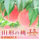 【ふるさと納税】山形の桃 [柔らかめ] 約1.5kg(4～7個) 【令和6年産先行予約】FU23-358 フルーツ くだもの 果物 お取り寄せ 先行予約