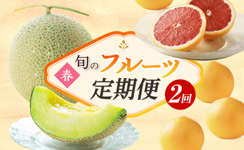 【2026年4月上旬より発送】浜松市のフルーツ定期便 2回（4月～5月）グレープフルーツ・クラウンメロン