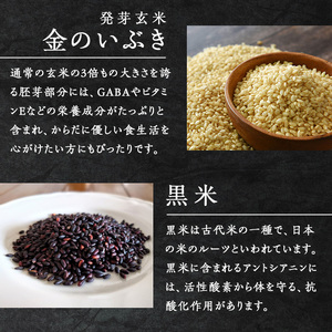 ＜3ヶ月定期便＞発芽玄米パックご飯 計48パック(16パック×3回) 金のいぶき発芽玄米 黒米 発芽玄米 レンジ 有機栽培 パックご飯 パックごはん ご飯パック ごはんパック ご飯 米 頒布会 【有機