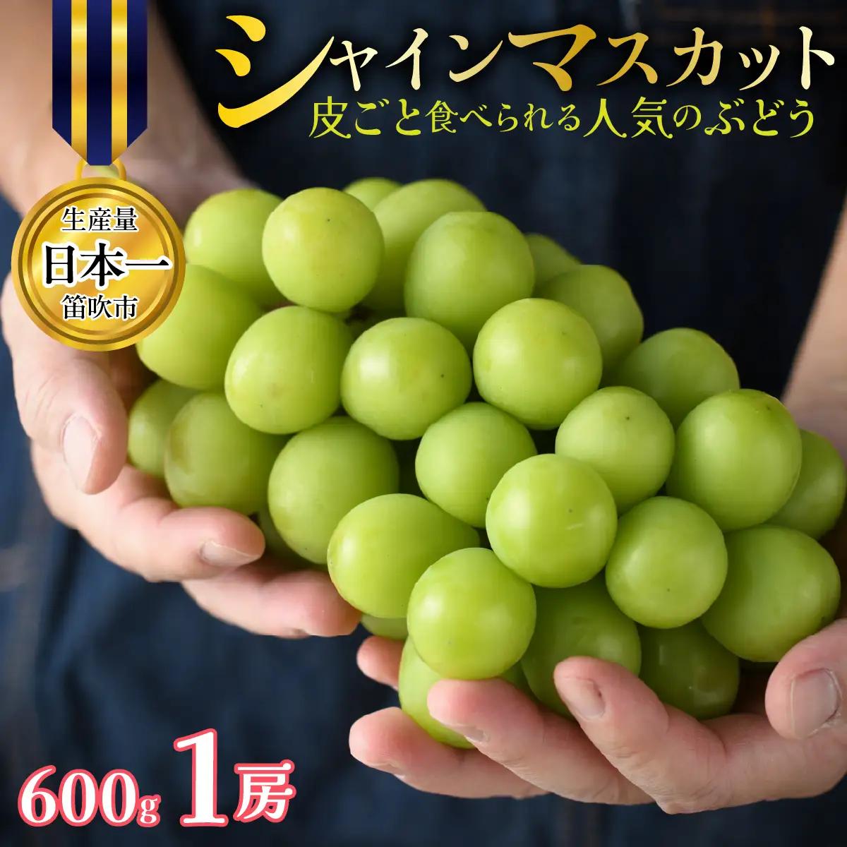 【2027年発送★先行予約】山梨県笛吹市産 シャインマスカット 1房 約600g 皮ごと食べられる人気のぶどう 262-003-27y