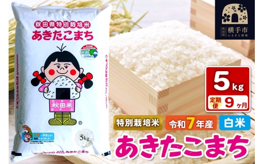 令和7年産【白米】《定期便9ヶ月》特別栽培米 あきたこまち 5kg 秋田県 横手市