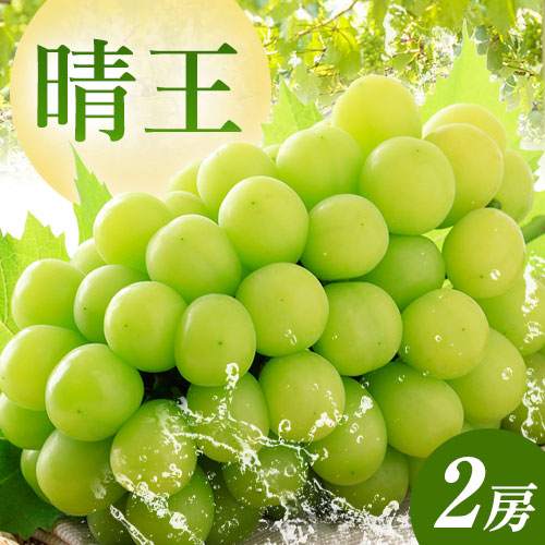 【2026年先行予約】秋のシャインマスカット 晴王 2房 環山堂株式会社《2026年9月上旬-10月上旬頃より発送予定》岡山県 浅口市 シャインマスカット マスカット ぶどう 果物 フルーツ 送料無料