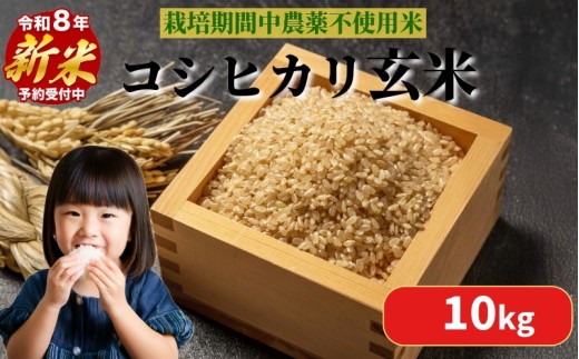 【2026年9月順次発送】 栽培期間中農薬不使用 コシヒカリ玄米 10kg（5kg×2） 玄米 米 化学肥料不使用 こめ 健康 ご飯 ダイエット 栄養豊富 ビタミン ミネラル 小松島市