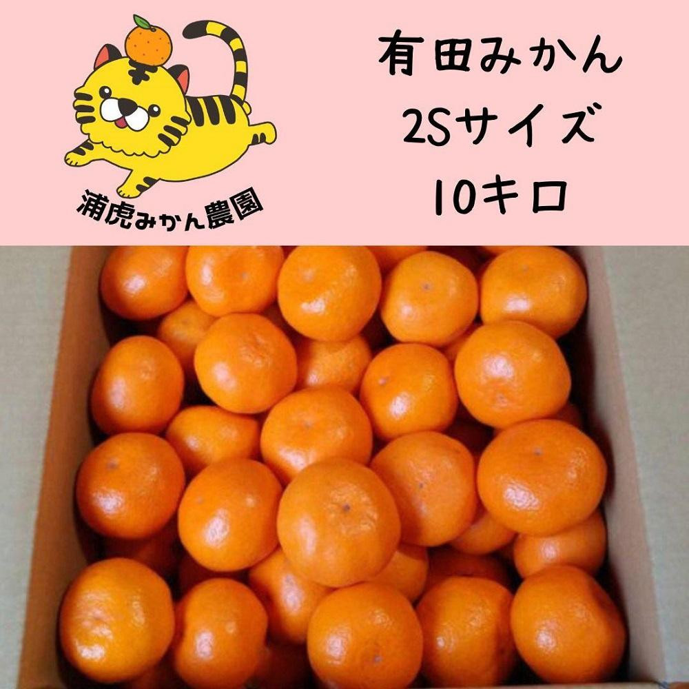 
きれいな温州みかん 寄贈用にも 10kg（SSサイズ）小さなミカンが好きな人におすすめ
