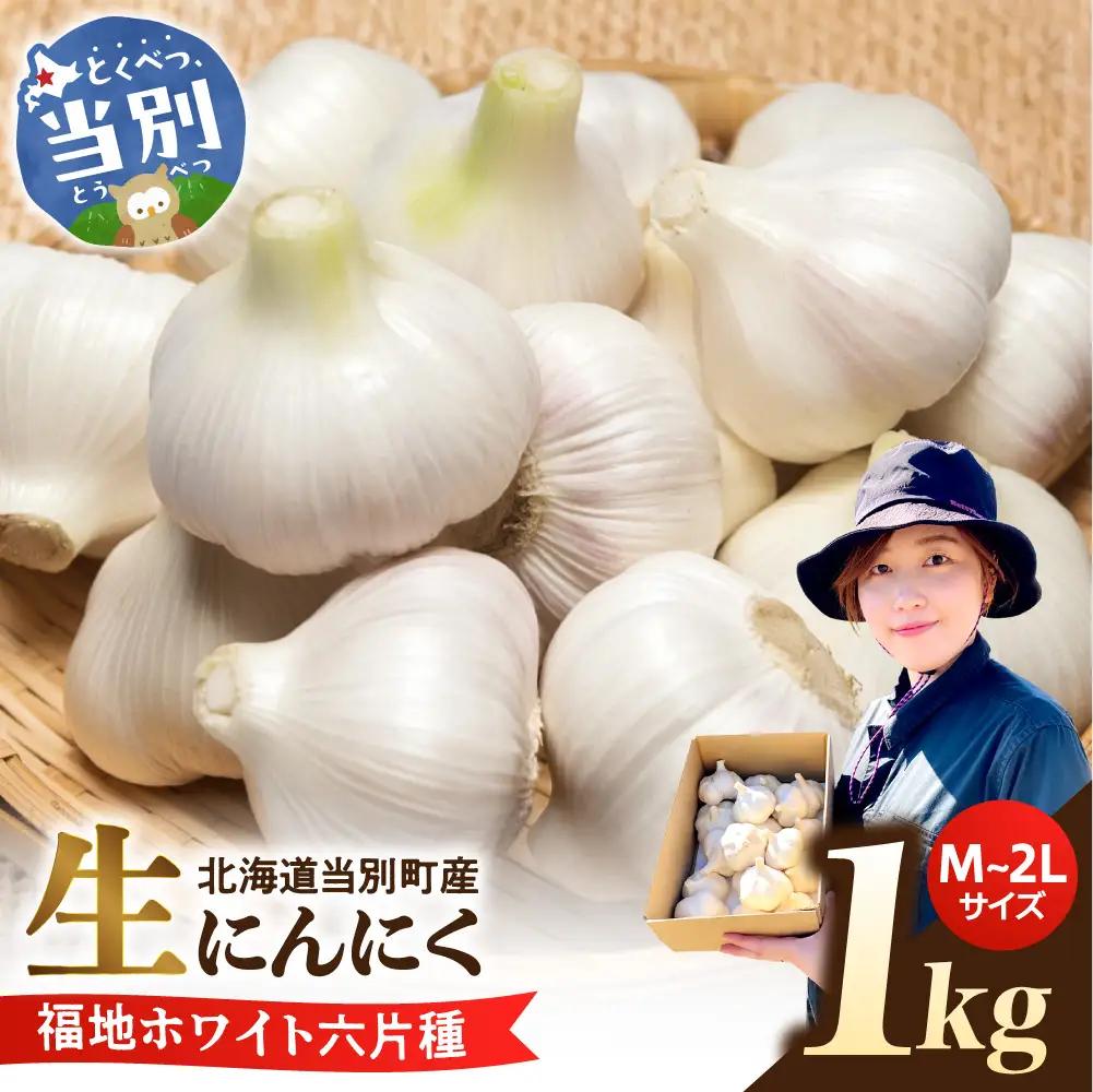 【令和9年度産先行受付】生にんにく（福地ホワイト六片種）1kg にんにく
