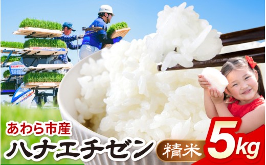 【先行予約】【令和8年産】ハナエチゼン 精米 5kg（農事組合法人イーノなかのはま100） / 北陸 福井県産 あわら市 ブランド米 白米 お米 コメ ※2026年10月より順次発送予定 [aw139-a001]