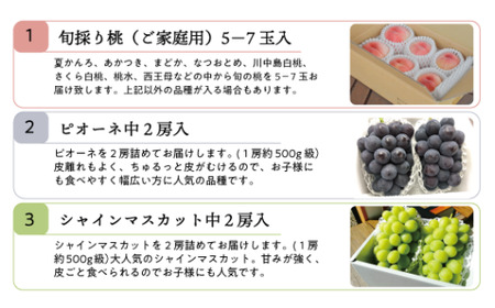 【2026年先行予約】桃、ピオーネ、シャインマスカットが少しずつ届く夏の満足便！３回便(定期便) (岡山県産)【KF-T022-02】