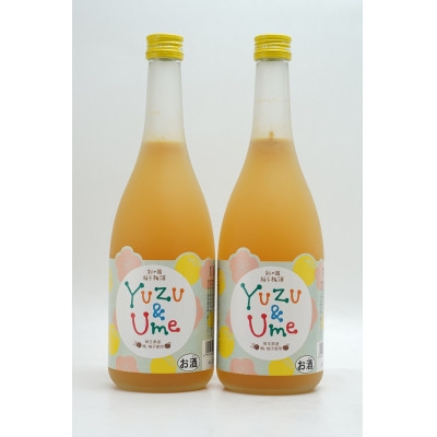 
                  彩の国　柚子梅酒　720ml×2本【1728364】
                