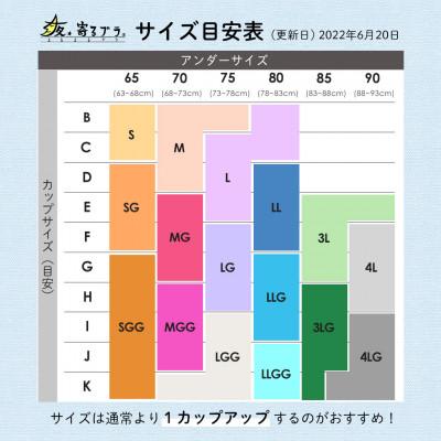 ふるさと納税 河内長野市 【SGサイズ】 ナイトブラ 夜寄るブラコットン(育乳・補整・補正・ノンワイヤー・脇高・綿混) |  | 02