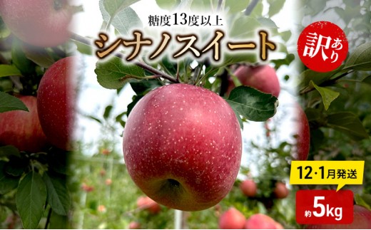 
                  [№5554-0323]りんご 【12月・1月発送】 糖度13度以上 訳あり品 家庭用 シナノスイート 約5kg【 青森りんご 】
                