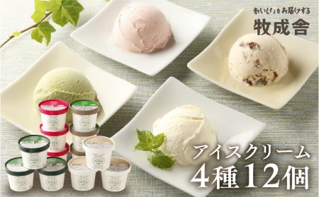＜牧成舎＞牛乳屋が作るミルクの旨みたっぷりアイスクリーム　１２個セット[Q1312] 大人気アイス 人気アイス いちごアイス 抹茶アイス バニラ ラムレーズン デザート お菓子 スイーツ 牧成舎 飛騨市