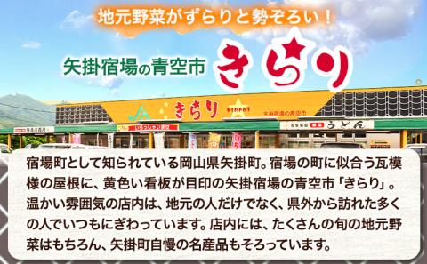 【3ヶ月定期便】旬の新鮮野菜とお米詰め合わせセット 野菜5～10品目入 青空市きらり《お申込み月の翌月から出荷開始》岡山県 矢掛町 野菜 野菜詰め合わせ 米 米3kg トマト きゅうり アスパラガス