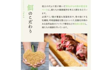 たまごかけご飯セット 卵40個入り ／ たいまのけはやたまご 卵 たまごかけご飯 おたまはん お米 生卵 奈良県 葛城市【tegg006】