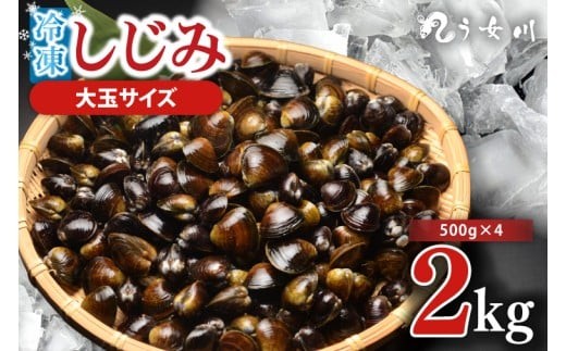 
                  しじみ 冷凍 特選 大玉 2kg（500ｇ×4）砂抜き済み 涸沼川 う女川【シジミ オルニチン ミネラル ビタミンB12 出汁 肝臓 味噌汁 スープ 茨城県 水戸市】（IX-1113）
                