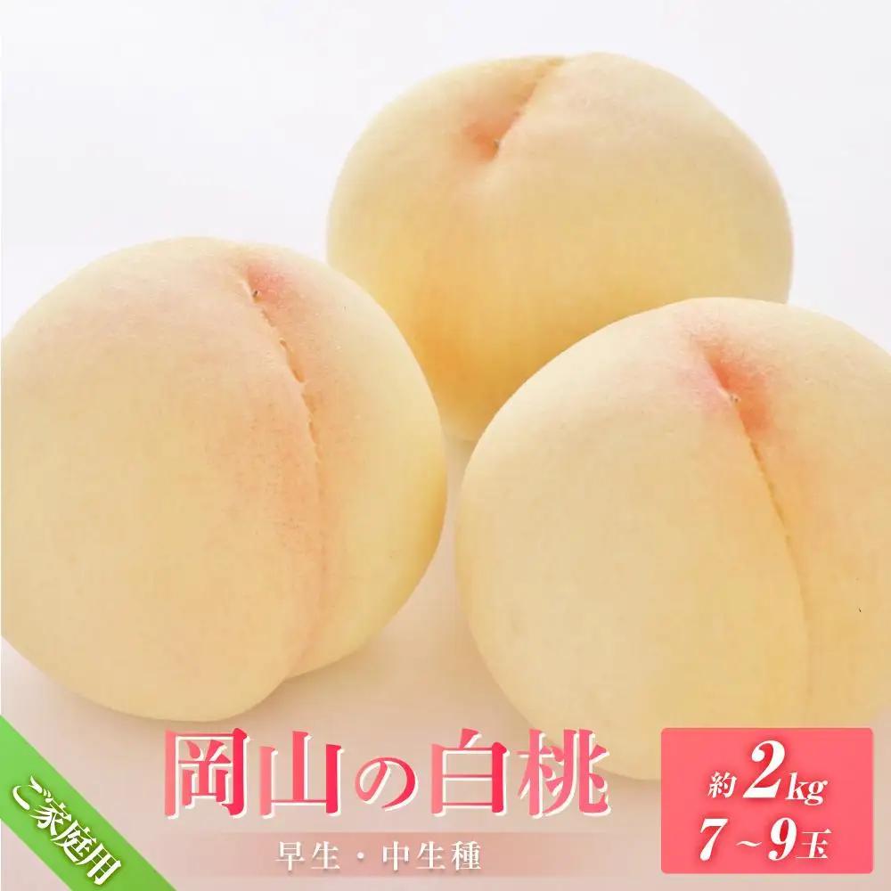 桃 2027年6月下旬から発送 ご家庭用 岡山の 白桃（早生、中生種）約2.0kg 7～9玉 もも モモ フルーツ 果物 岡山市 一宮地区産 国産 赤木農園