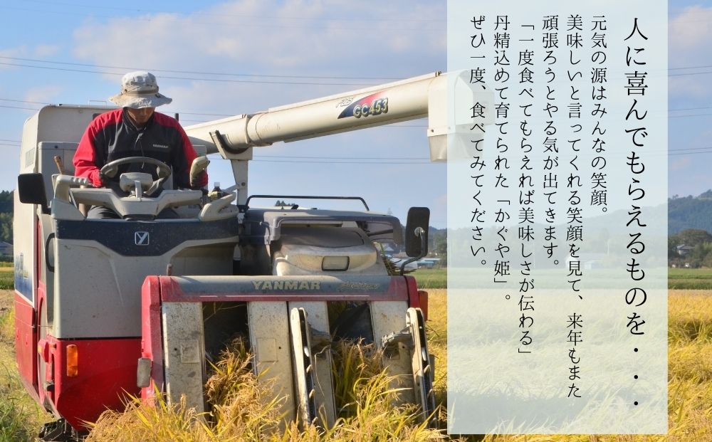【令和7年産】 新米 宮城県産 超稀少品種 かぐや姫 精米 5kg 宮城県 東松島市 天授のお米 米 白米 こめ 宮城県 東松島市 オンラインワンストップ 対応 自治体マイページ