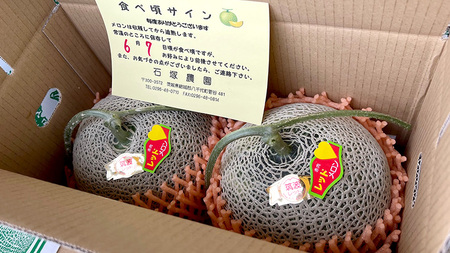 筑波レッドメロン 1箱 2玉 入り（約 3.5kg ～ 5kg ）【2025年6月上旬以降発送】  メロン レッド  赤肉 甘い 期間限定 産地直送 果物 フルーツ